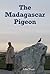 The Madagascar Pigeon