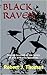 Black Raven (Jess Williams, #27)