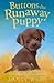 Buttons the Runaway Puppy (Holly Webb Animal Stories Book 18)