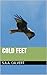 Cold Feet (Sussex Border Stories Book 3)