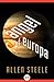 Angel of Europa (Near-Space)