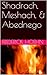 Shadrach, Meshach, & Abednego