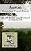 Austin Travel Guide (Unanch...