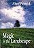 Magic in the Landscape
