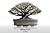 bonsai trees