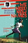 Book cover for We Need New Names