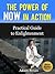 The Power of NOW in Action by Adam Brian