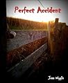 Perfect Accident