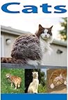 Cats: pictures of all types of cats