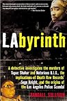 LAbyrinth: A Dete...
