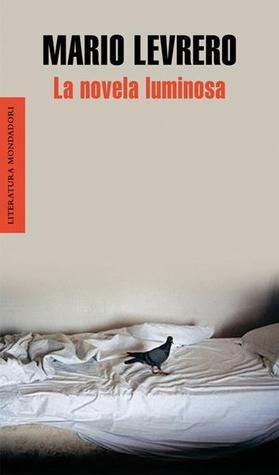 Portada de La novela luminosa, de Mario Levrero