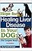Hope For Healing Liver Disease in Your Dog by Cyndi Smasal