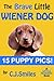 The Brave Little Wiener Dog -- 15 Full-Color Puppy Pictures!!... by C.J. Smiles