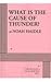 What is the Cause of Thunder? - Acting Edition by Noah Haidle