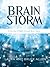 Brain Storm: A Journey of Faith Through Brain Injury