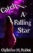 Catch A Falling Star (Falling Star Series)