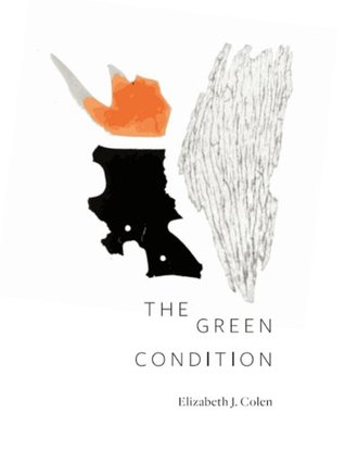 The Green Condition (Paperback)