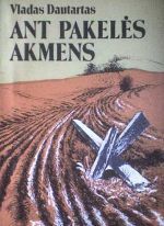 Ant pakelės akmens