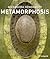 Alexandra Hendrikoff: Metamorphosis