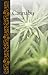 Cannabis