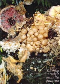 Kuinka voisit minulta puuttua (Hardcover)