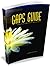 GAPS Guide by Baden Lashkov