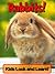 Rabbits! Learn About Rabbits and Enjoy Colorful Pictures - Look and Learn! (49+ Photos of Rabbits)