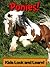 Ponies! Learn About Ponies and Enjoy Colorful Pictures - Look and Learn! (50+ Photos of Ponies)