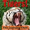Tigers! Learn About Tigers And Learn To Read - The Learning Club! (45+ Photos of Tigers)