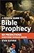 A Concise Guide to Bible Pr...