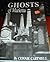Ghosts of Marietta: Mysteries, apparitions and hauntings of the first permanent settlement in the Northwest Territory