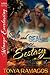 Safe and SEALed with Ecstasy (The Heroes of Silver Island, #1)