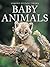 Baby Animals by Karen Penzes