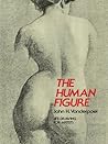 The Human Figure