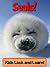Seals! Learn About Seals and Enjoy Colorful Pictures - Look and Learn! (50+ Photos of Seals)