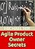 Agile project management : ...