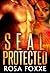 SEAL Protected (Interracial BWWM Romance)