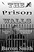 The Prison Walls by Barron Smith