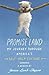 Promise Land: My Journey th...