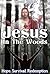 Jesus In The Woods by Joseph Conner