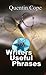 501 Writers Useful Phrases