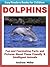 Dolphins - Fun and Fascinat...