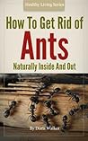 How To Get Rid Of Ants