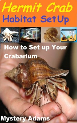Hermit Crab Habitat Setup : Hermit Crab Care and Habitat Set-up (Kindle Edition)