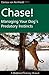 Chase!: Managing Your Dog's...