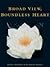 Broad View, Boundless Heart by Ajahn Pasanno