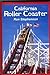 Roller Coaster by Ron Stephenson