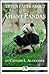 14 Fun Facts About Giant Pandas: A 15-Minute Book (15-Minute Books 4)