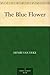 The Blue Flower