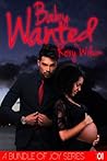 Baby Wanted (Bundle of Joy, #1)